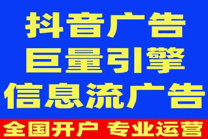 SEM广告投放中的数据监控与调整策略——以某品牌营销案例为例