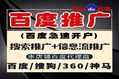 竞价广告赚钱攻略：百度平台实战案例